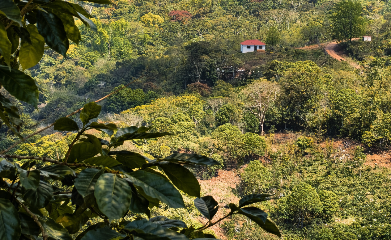 <span style=color:#f29f42;>COMPROMETIDOS AL MEJORAMIENTO DE LA SALUD Y PROTECCION</span> DEL MEDIO AMBIENTE.